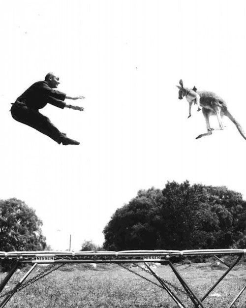 8. George Nissen (Age 16) GÇö Trampoline