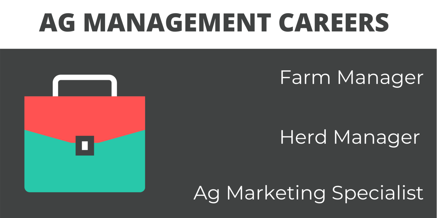 What Can I Do With an Agricultural Management Degree? Great Business